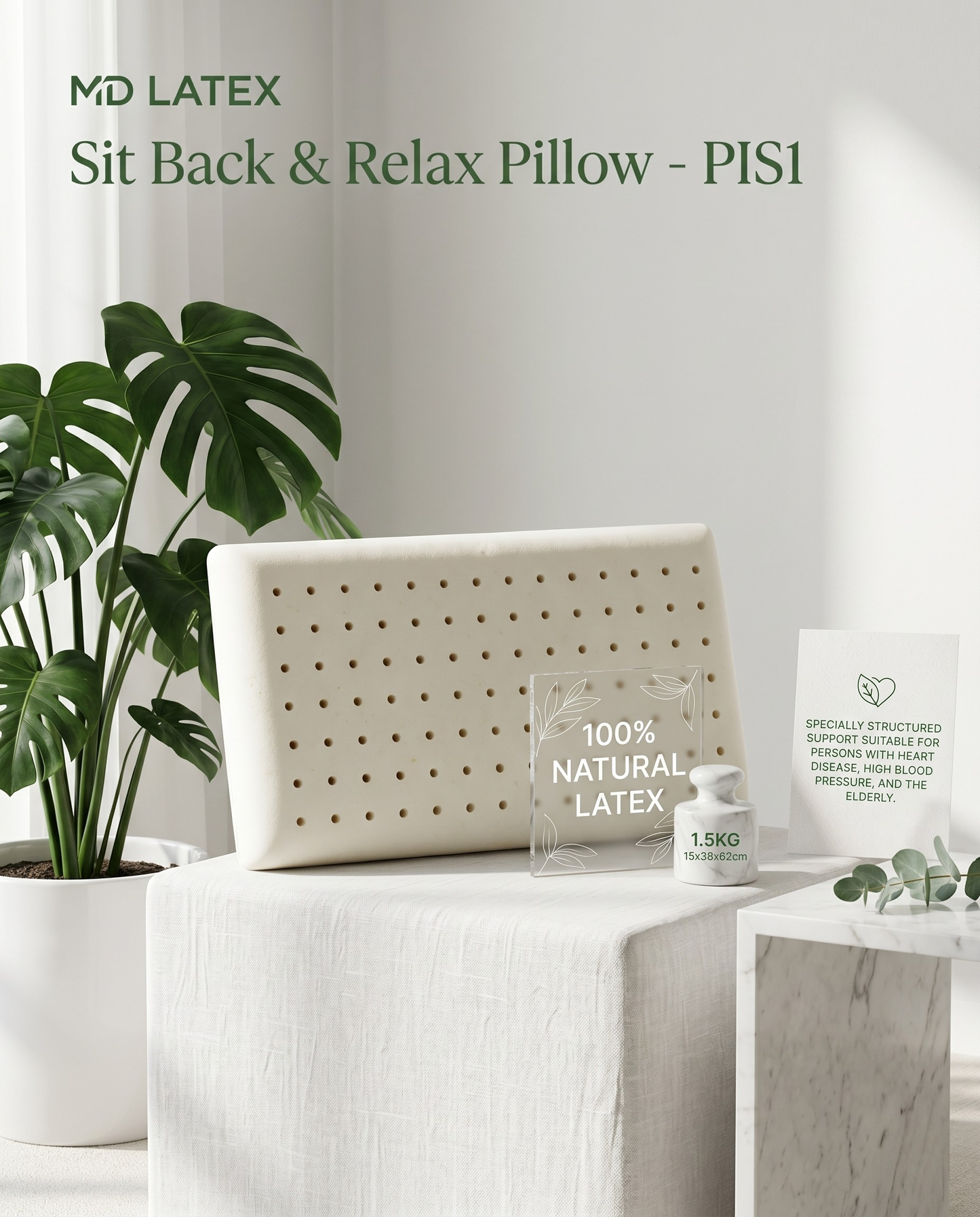 Sit Back & Relax Pillow - PIS1